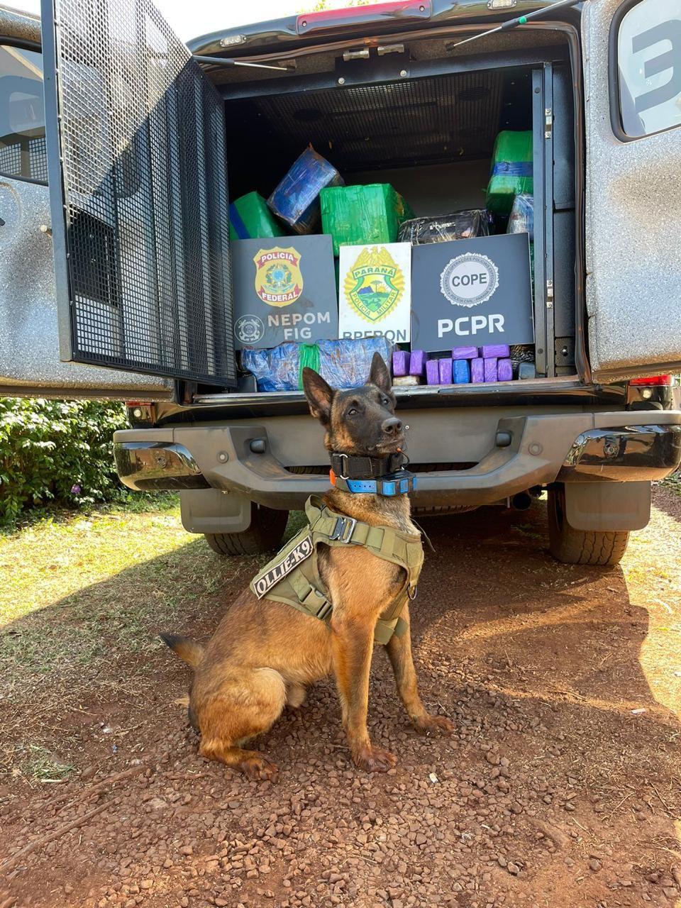 Ação conjunta entre BPFRON, NEPOM/PF e COPE aprende cerca de 357kg de maconha em Santa Helena