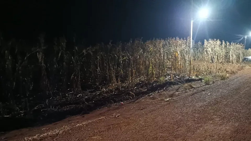 Corpo de Bombeiros de Cascavel realiza busca por menino desaparecido em Assis Chateaubriand