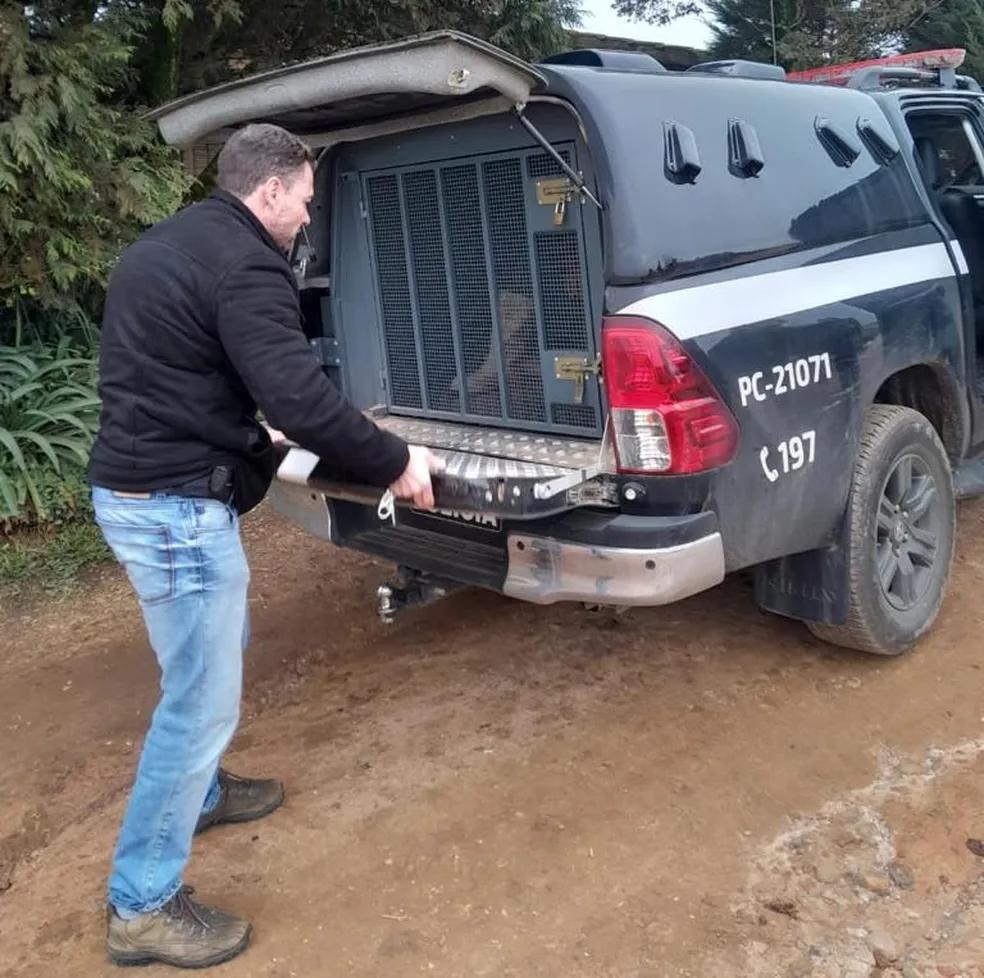 Menina relata à professora ter sido estuprada pelo pai antes de ir a escola, e homem é preso, diz polícia