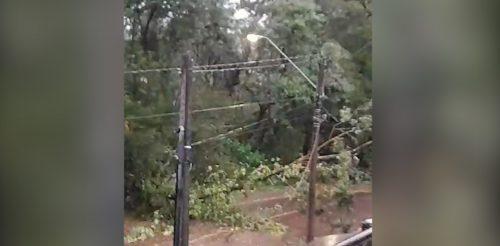 Na região: Galhos de árvores caem e atrapalham trânsito