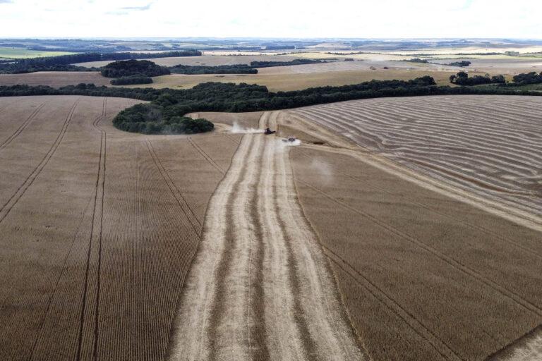 Paraná chega a 34 cidades com Valor Bruto de Produção Agropecuária acima de R$ 1 bilhão