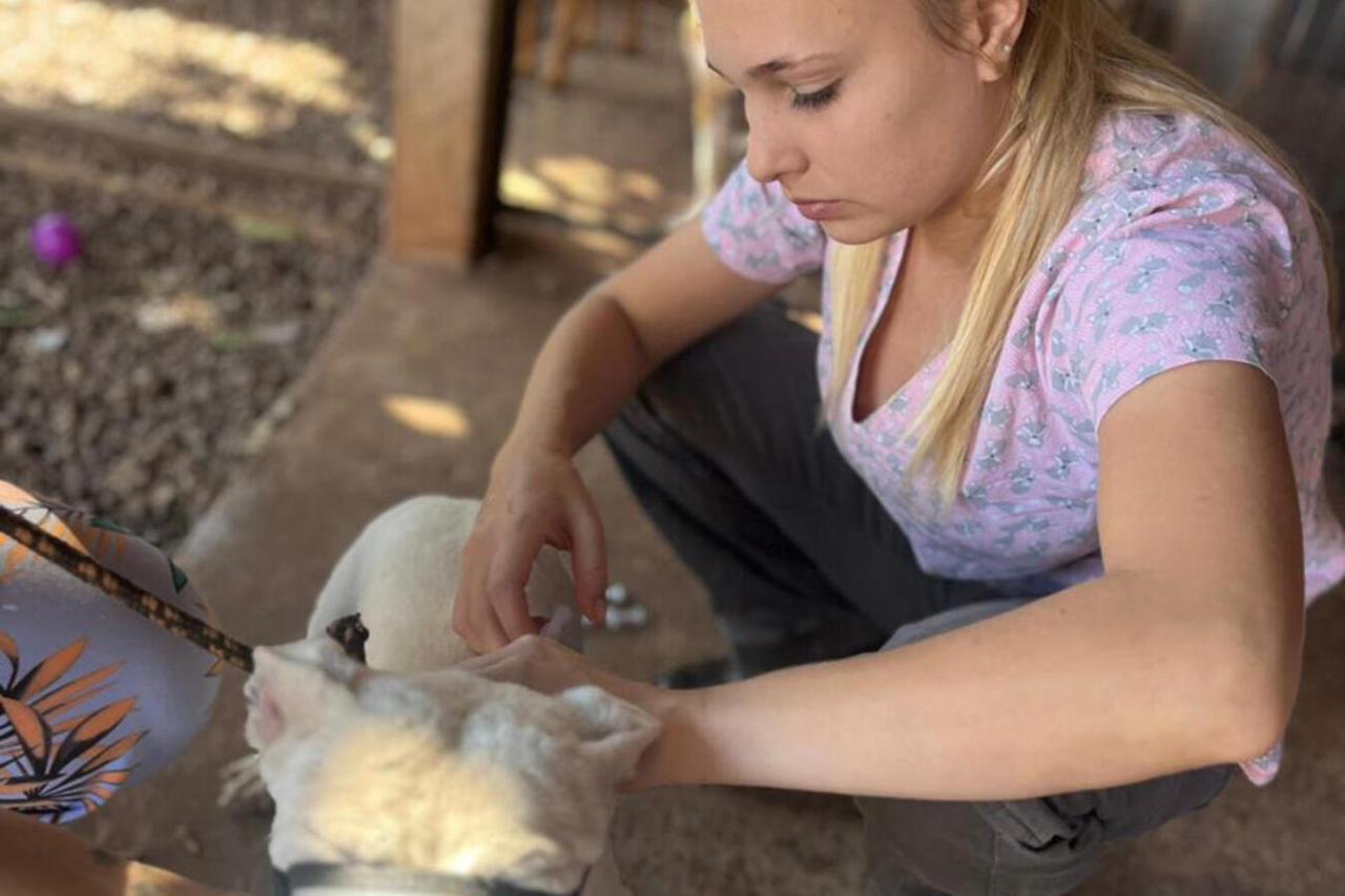 Proteção Animal promove campanha de vacinação antirrábica em agosto