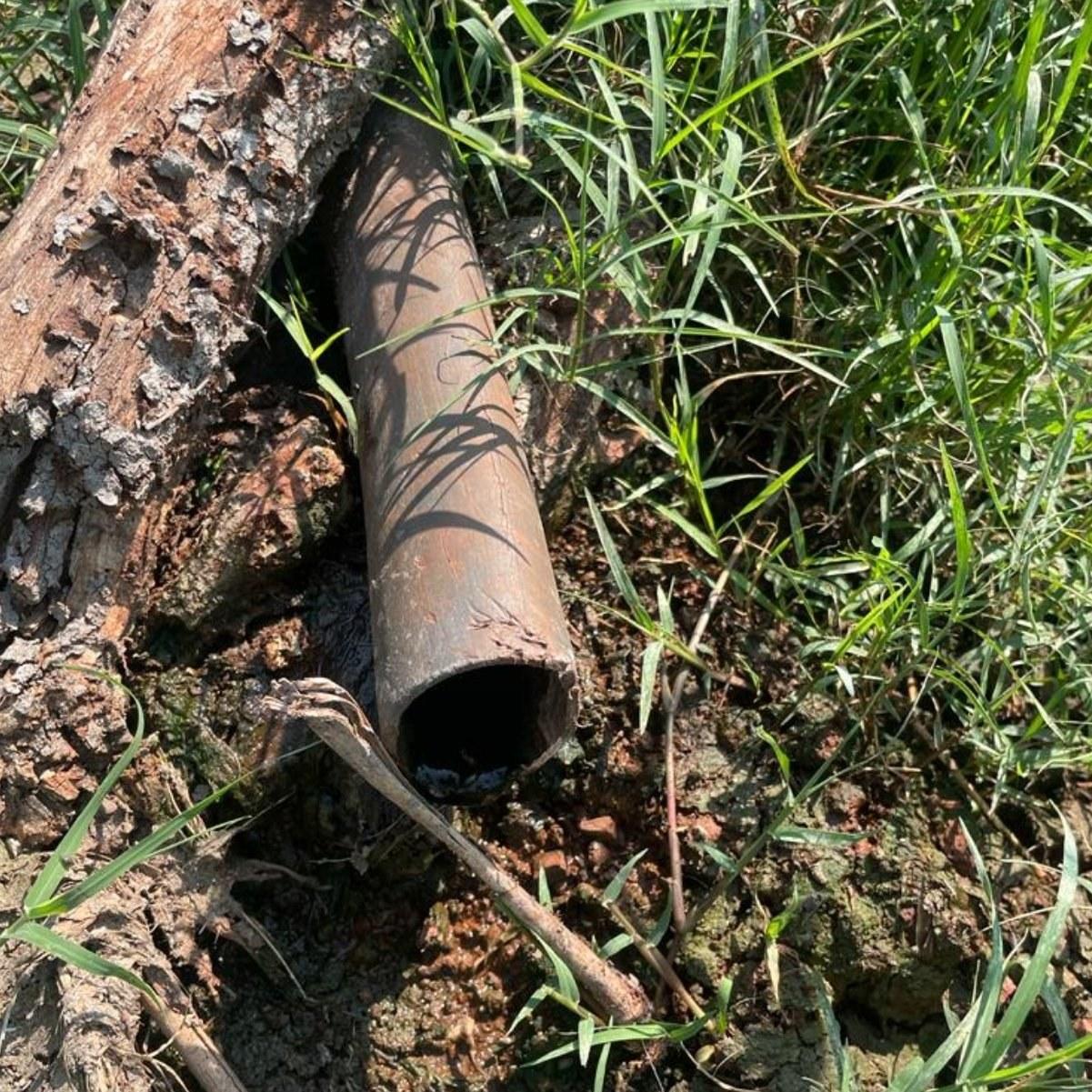 Suinocultor é preso em Toledo suspeito de despejar dejetos e poluir rios