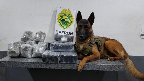 BPFron apreende maconha e haxixe estimados em mais de R$ 44 mil na rodoviária de Cascavel