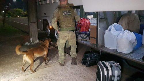 BPFron realiza operação com cão farejador em Cascavel