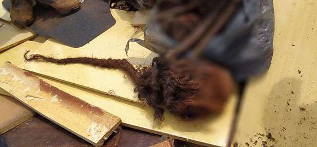 Caso de ossada humana encontrada em Cascavel será repassado às autoridades de Santa Tereza do Oeste