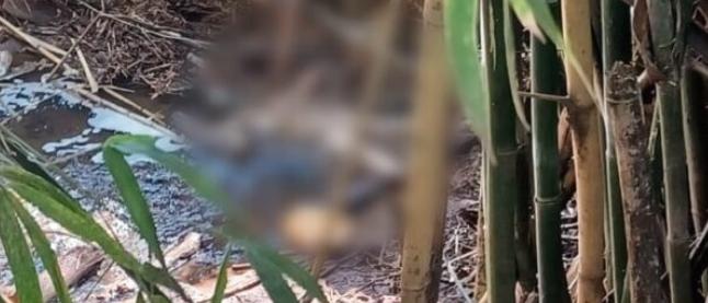 Mulher é encontrada sem cabeça e nua dentro de córrego em Maringá