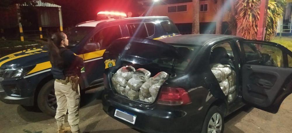 PRF apreende 204 quilos de flor de maconha em Santa Terezinha de Itaipu