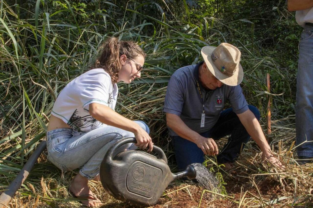 Recuperação de nascente e plantio de nativas marcam o Dia da Árvore