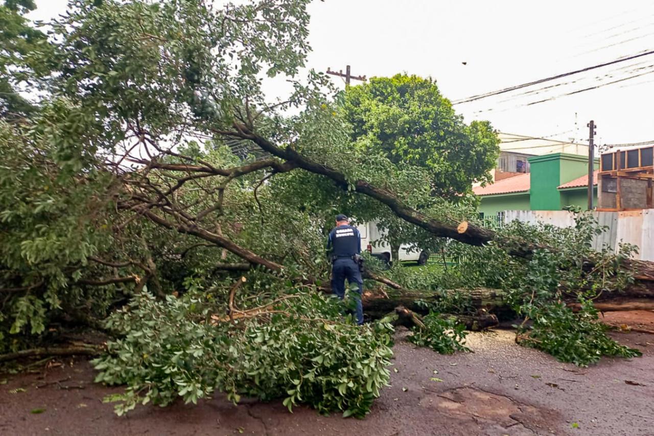 Secretaria de Infraestrutura Rural e Urbana e de Serviços Públicos atualizam situação após temporal, em Toledo