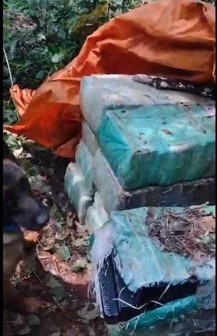 Santa Helena-PR - BPFRON , Polícia Civil e Polícia Federal apreendem drogas