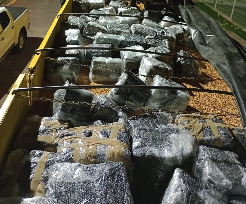 2.200 kg de maconha são apreendidos pela PM durante operação, na Região