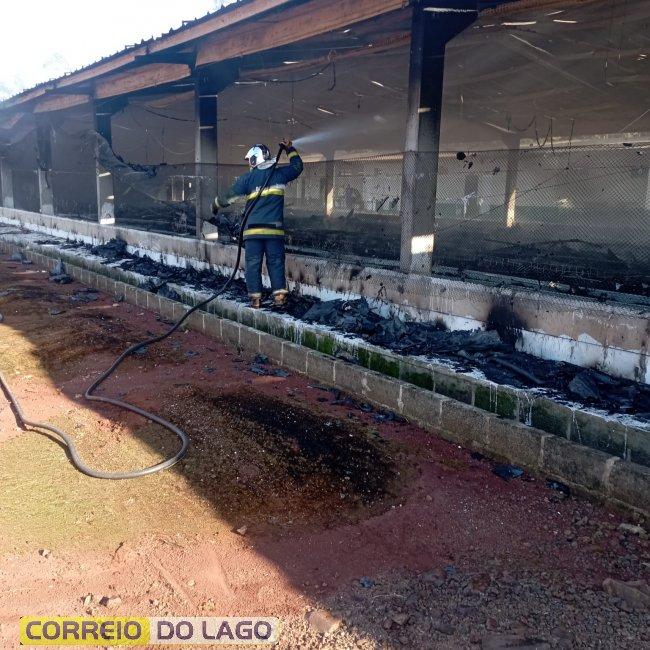 Aves morrem carbonizadas durante incêndio em aviário no interior de Santa Helena