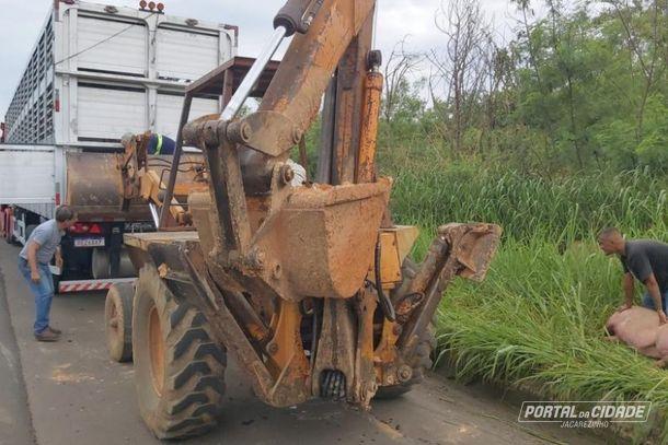 Caminhão com cerca de 200 porcos tomba na BR-153
