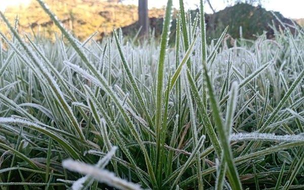 Cidade mineira amanhece com baixas temperaturas, próximo a zero; Fenômeno impressionante, diz INMET