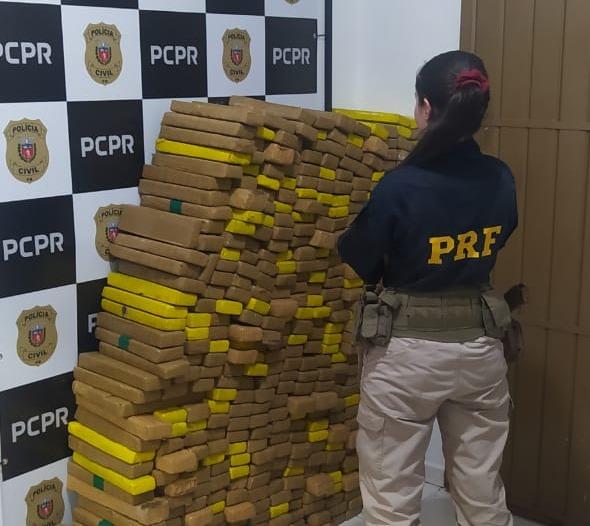 Em Céu Azul, PRF apreende 415 quilos de maconha após traficante bater carro em árvore
