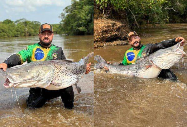 Empresário leva 6 minutos para fisgar pintado gigante de 1,80 m e devolve peixe ao rio: 'saiu saudável e nadando'; VÍDEO
