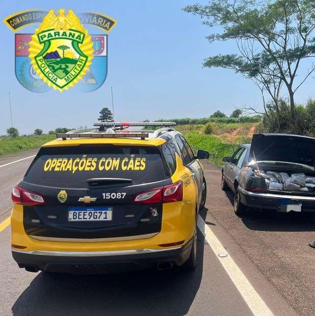 Equipe Canil do BPRv apreende 206 Kg de maconha