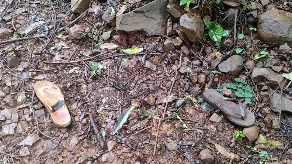 Mulher com deficiência é encontrada morta com sinais de abuso no Paraná