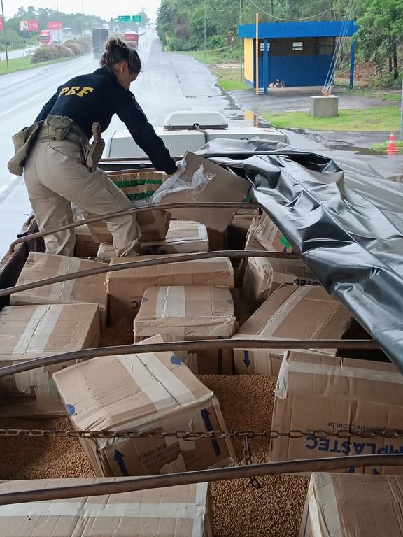 Paranaense é preso pa PRF transporntando uma tonelada e meia de maconha