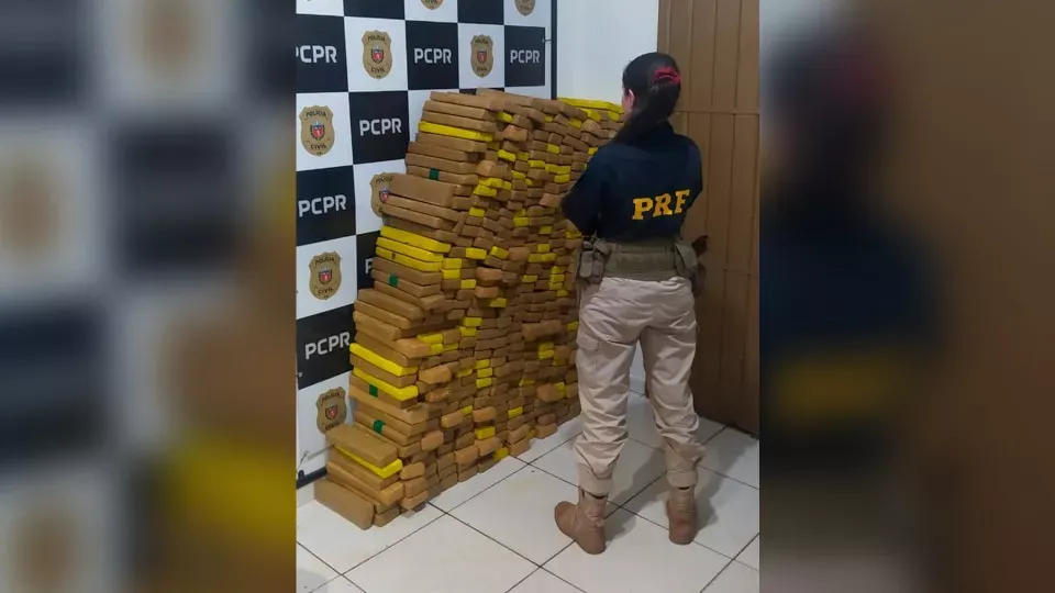 PRF apreende 415 quilos de maconha após traficante bater carro em árvore na BR-277, em Céu Azul