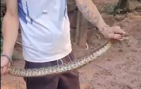 Região: Com as próprias mãos, homem consegue capturar cobra cascavel