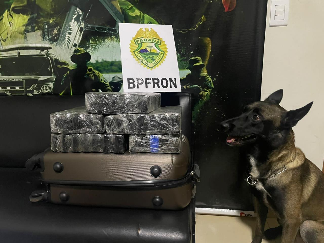 BPFRON apreende drogas em ônibus na cidade de Umuarama-PR