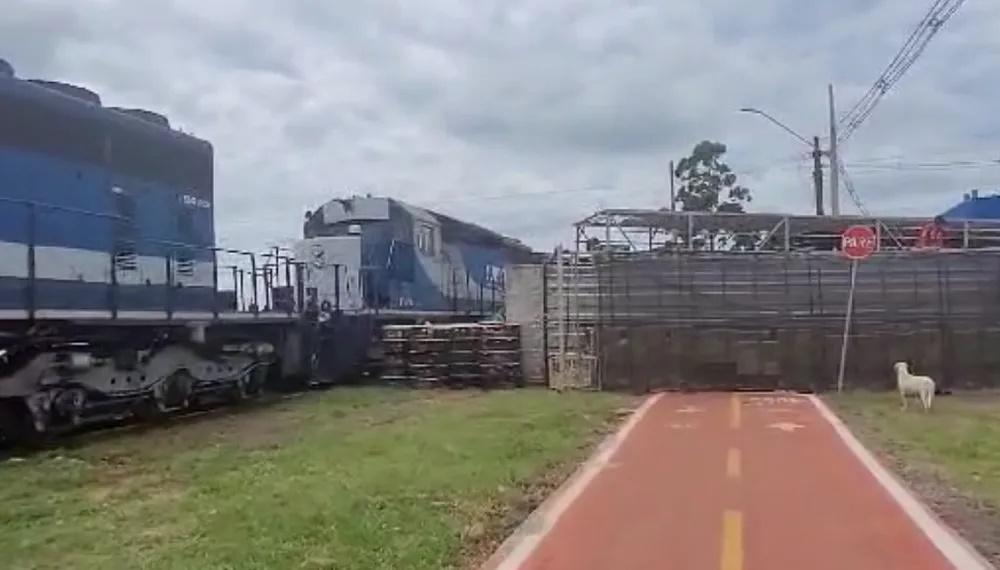 Caminhão carregado com frangos é atingido por trem no interior do PR