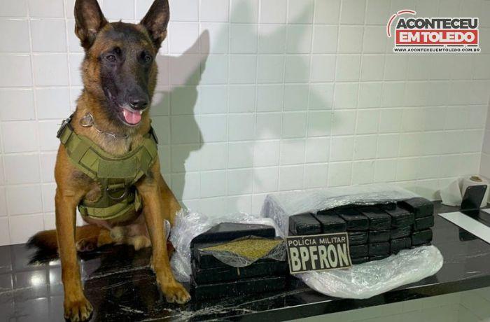 Com camiseta contra Bolsonaro; homem é preso com maconha em ônibus de linha em Cascavel