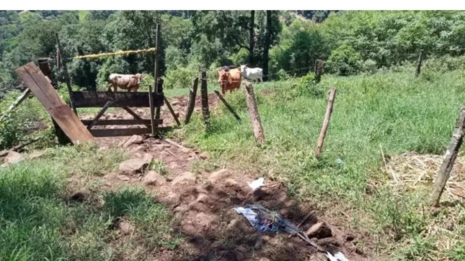 Idoso morre após ser atacado por boi