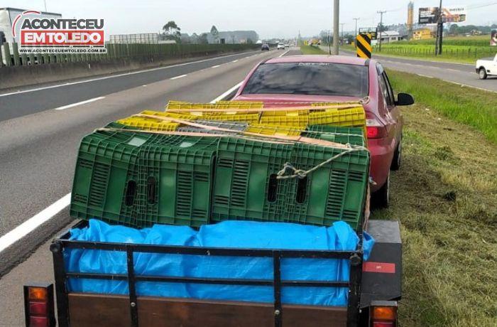 Mais de meia tonelada de maconha é localizada em carro e carretinha na BR-101, no Paraná