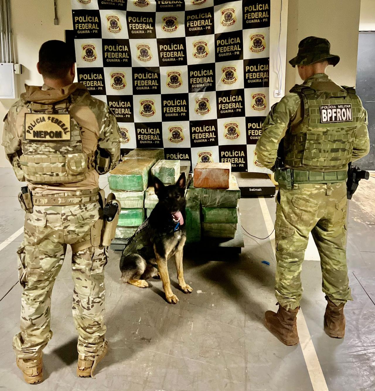 Operações com Cães do BPFron/PMPR e NEPOM/PF apreendem mais de 400 Kgs de maconha em Pato Bragado-PR .