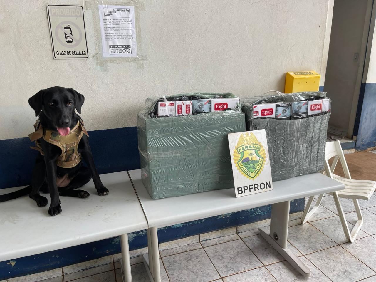 BPFRON apreende cigarros contrabandeados em ônibus na  cidade de Cascavel-PR