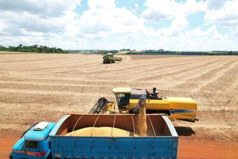 Cascavel bate recorde nas exportações em 2023