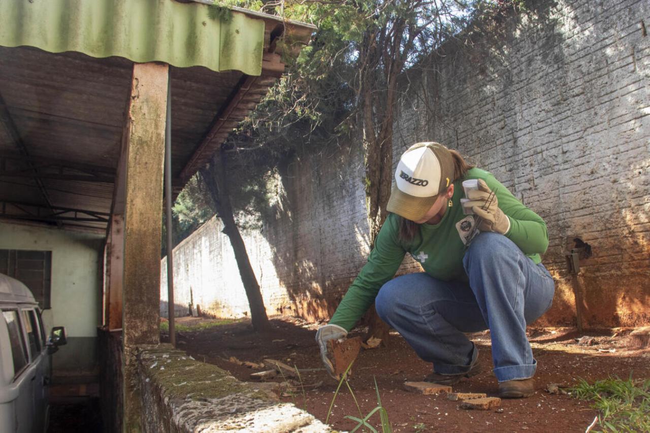 ACEs recebem treinamento para manejo, controle e identificação de escorpiões