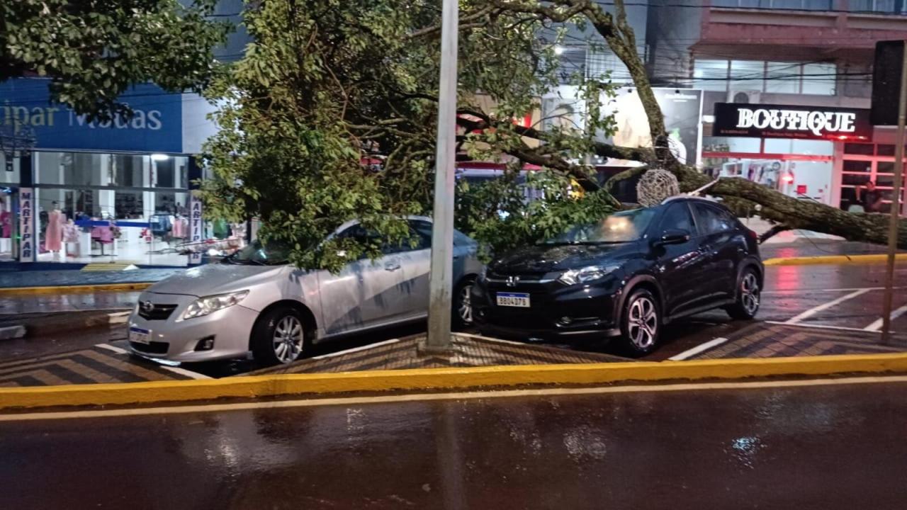 Forte ventania causa destelhamentos, queda de árvores e de energia em diversos pontos de Toledo