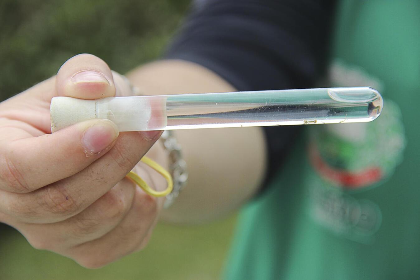 Com índice de infestação de 0,7%, Toledo apresenta dados do 4º LIRAa do ano